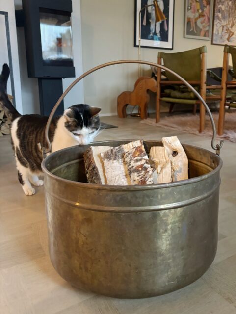 Stor, romslig vedkjele med hank, i hamret messing. Vintage med fin patina. ✨🪵 (Messingen kan sikkert pusses om du ønsker det). Ø 45 cm, H 27 cm. Pris: 1400 kr. Kjøpe nå med Vipps? Send melding. Må hentes. ❣️bilder tatt hjemme hos meg, kun vedkjelen er til salgs.