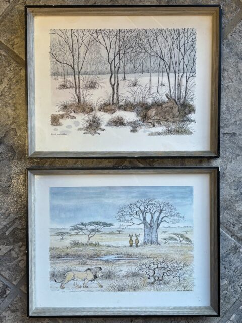 To fine, små vintagebilder (kunstprint/plakat) med dyremotiver av den kjente, norske kunstneren Omar Andreen. Rammemål 24,5 x 31,5 cm, 399 kr per stk. Kjøpe nå med Vipps? Send melding. Må hentes, sendes ikke🫎🦁