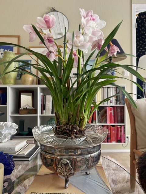 Nydelig, antikk jardinniere i metall med glassinnsats med blondekant. Bollen gjør seg til blomstrende potteplanter. Inskripsjon, bollen ble gitt som gave i 1931. Et lite avslag langs kanten på glassbollen. Ø glass 26 cm: H 17 cm. Pris: 599 kr. Kjøpe nå med Vipps? Send melding. Må hentes, sendes ikke.
❣️Bilder tatt #hjemmehostidstypisk - kun bollen er til salgs, annet er i privat eie.