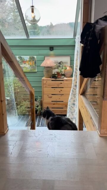 Det verste med Oslos loppemarker er ikke prisene, men korpsmusikken🫣👀🙉🥁🙀🙀 (husk lyd) 📸@audunru