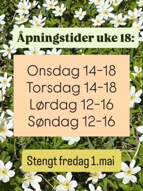 Velkommen til en ny uke med vintageskatter hos Tidstypisk! Gleder meg til å se nettopp deg i butikken! 👋🏻💋 Vanlige åpningstider - bortsett fra på fredag 1. mai.
