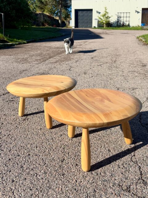 *SOLGT* Et par fine småbord i bjerk fra Ikeas PS-kolleksjon Never ending design storie fra 2009. Designet av Christian Halleröd. H 27 cm, Ø 47 cm. Fine, med bitte litt bruksspor. Kan ses i butikk i dag, åpent onsdag kl 14-18. Pris per stk: 1000 kr. 

#tidstypisk #tingsomtålertidenstann #ikeaps2009 #ikeaps #kattenskvalitetskontroll
